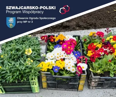 Nowy ogród społeczny przy przedszkolu w Ustce. Dzieci poznają przyrodę